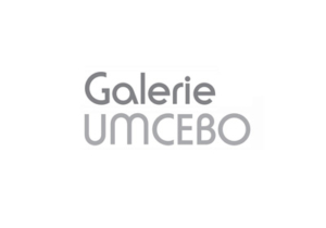 Galerie Umcebo