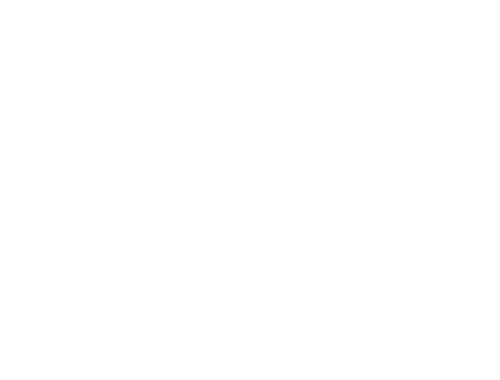 Festival 12X12