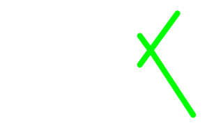 Festival 12X12